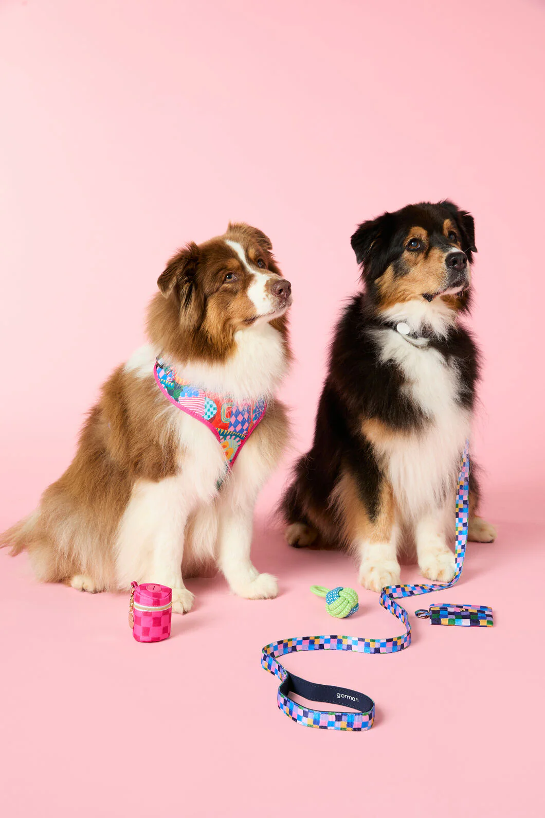 Bon Appetite Pet Gift Set - Image 2