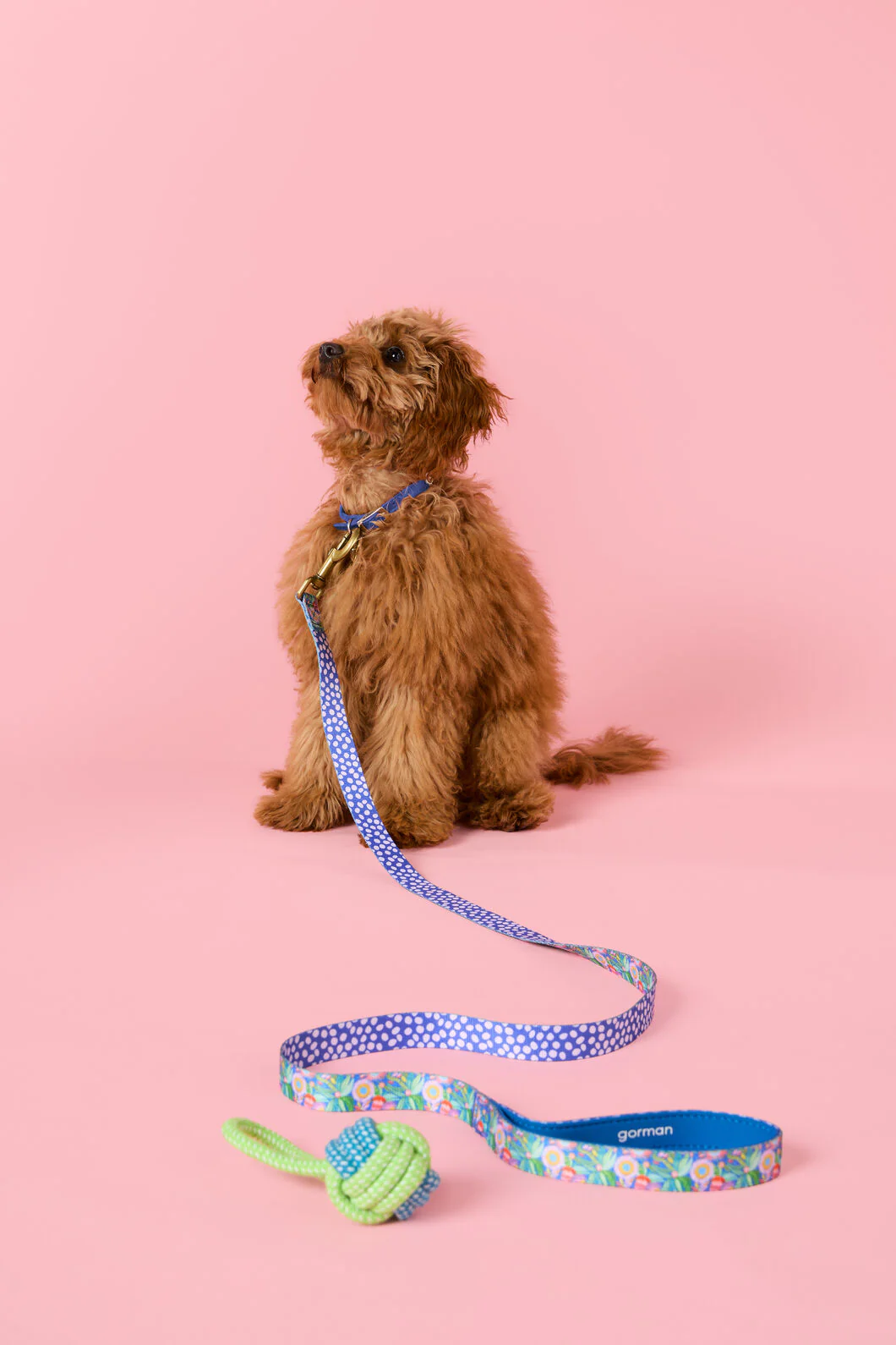 Garden Pet Gift Set - Image 2