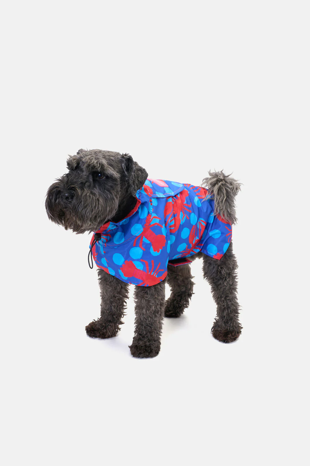 Lobster Pet Raincoat - Image 3