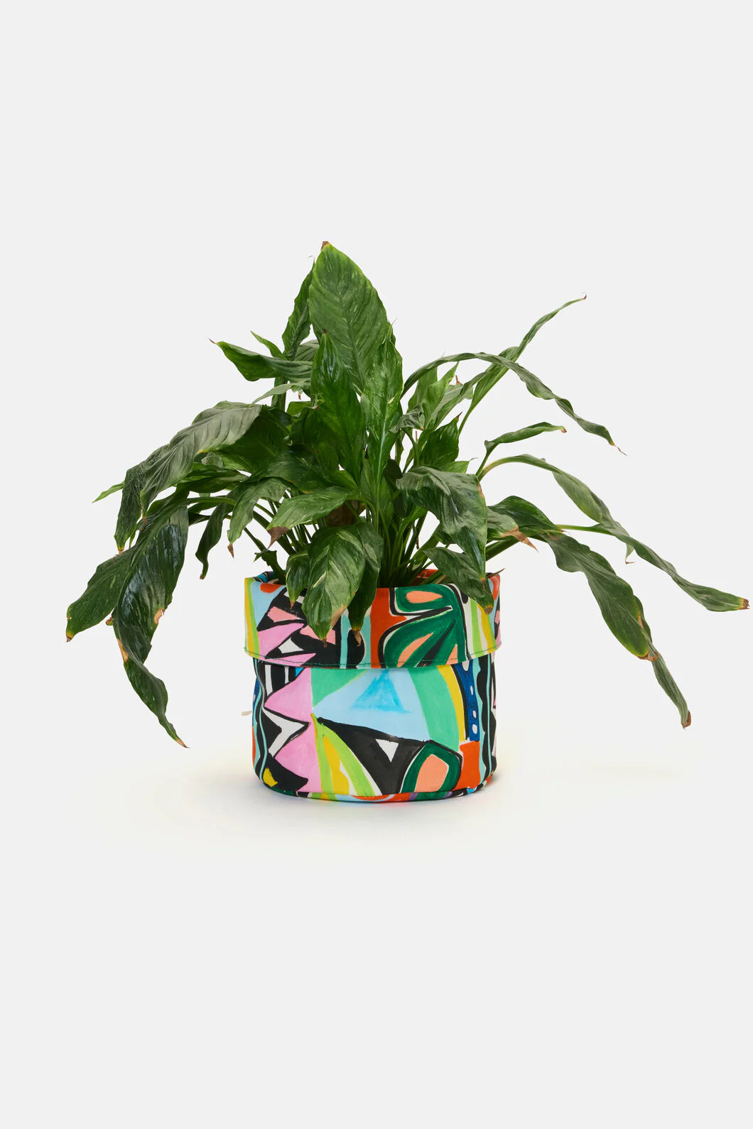 Zebra Concepts Planter Large - Image 2